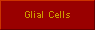 Glial Cells